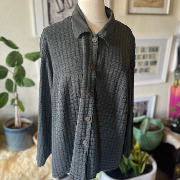 Vtg Earth Song Women's Plus Size 2XL Gray Button Front shirt Top Boho Collared - Picture 1 of 3